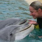 rencontre avec les dauphins marineland