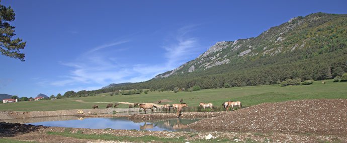 photo Scoperta della Réserve Biologique dei Monts d'Azur