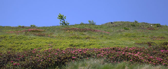 photo Le col de Tende