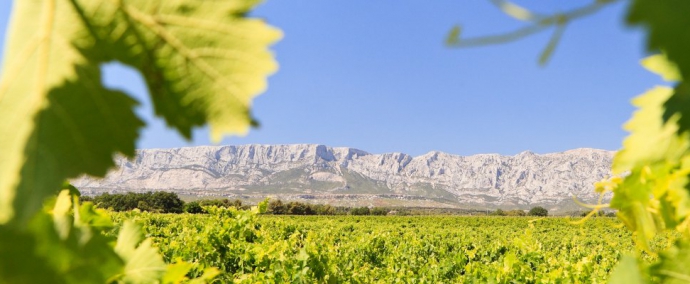 photo La Route des Vins de Provence