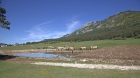 Découverte de la Réserve Biologique des Monts d'Azur